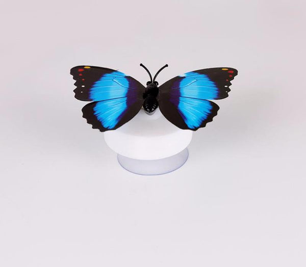 Lovely Beautiful Wall LED Light